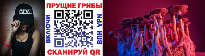 Галлюциногенные грибы GOLDEN TEACHER  что такое   Южноуральск 