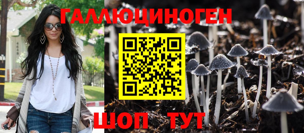 Псилоцибиновые грибы прущие грибы Южноуральск