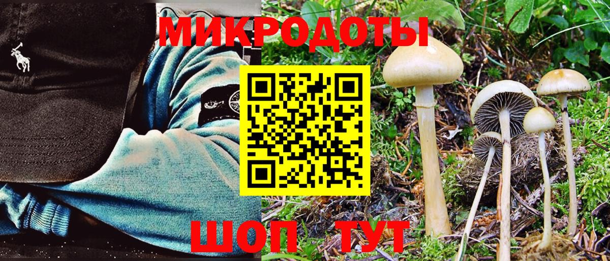 Южноуральск  Псилоцибиновые грибы MAGIC MUSHROOMS  Галлюциногенные грибы Psilocybe  Вход с VPN 